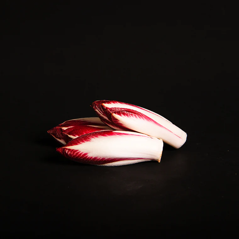 Endive rouge
